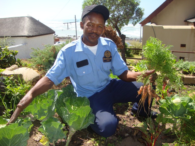 Walter carrots portrait