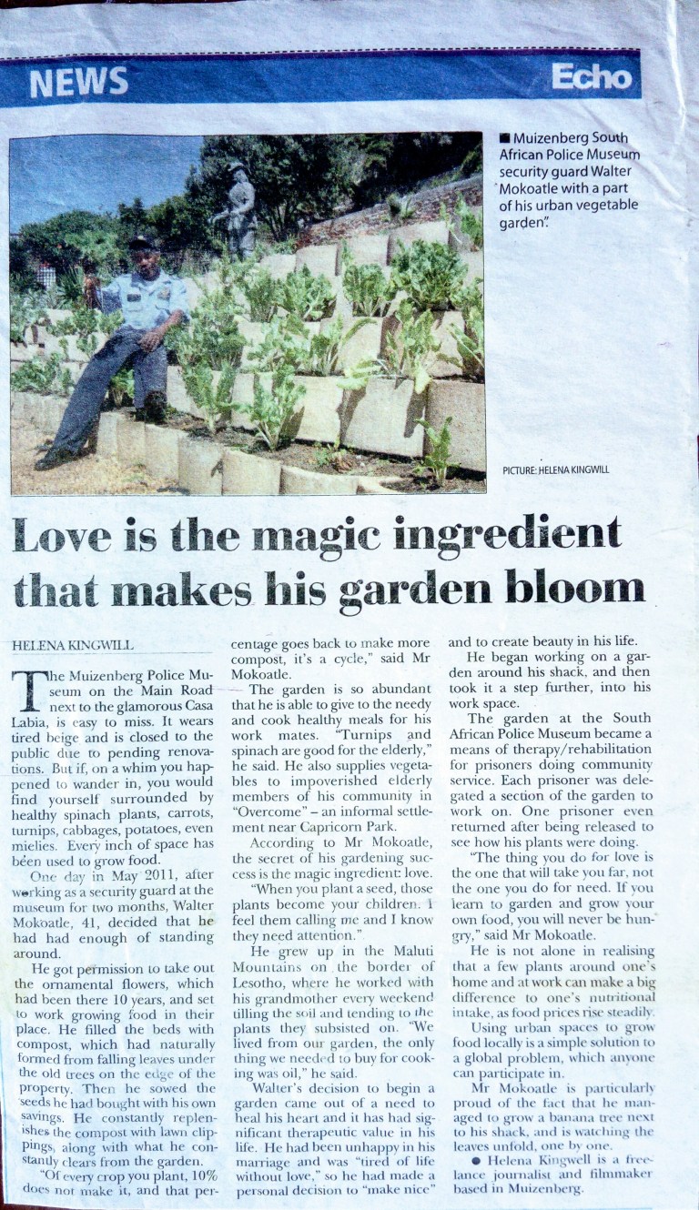 Walter Echo story published